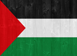 سفير فلسطين يواكب تظاهرة دعم للقضية الفلسطينية بمدينة قليبية   