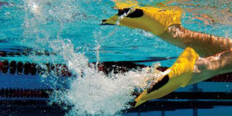 اختتام فعاليات البطولة الوطنية الشتوية للسباحة بالزعانف..