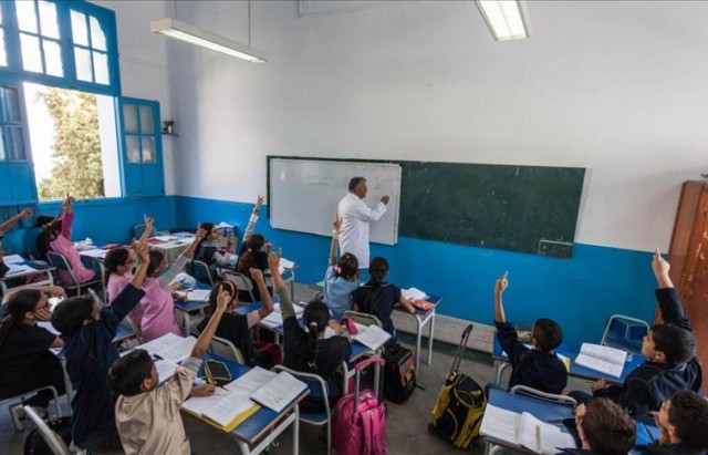 إصلاح التعليم الابتدائي يتم بتطوير وتبسيط تدريس اللغة العربية (1/2)