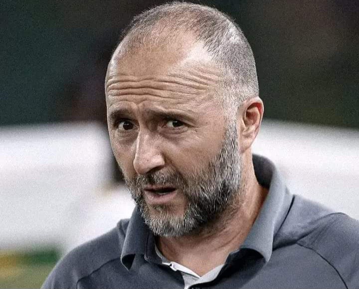 جمال بلماضي يستقيل من تدريب منتخب الجزائر
