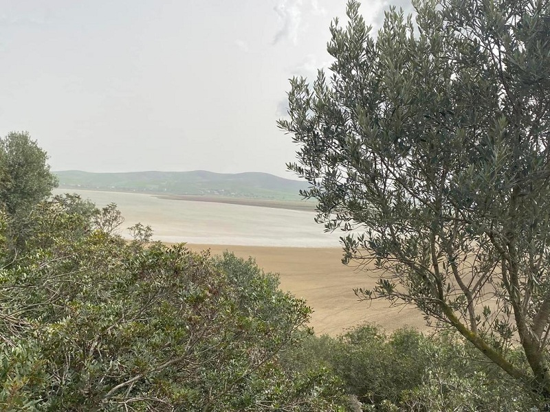 ملفات "الصباح"..   "الانتقال  الايكولوجي" سلاح تونس في مواجهة المتغيرات المناخية..