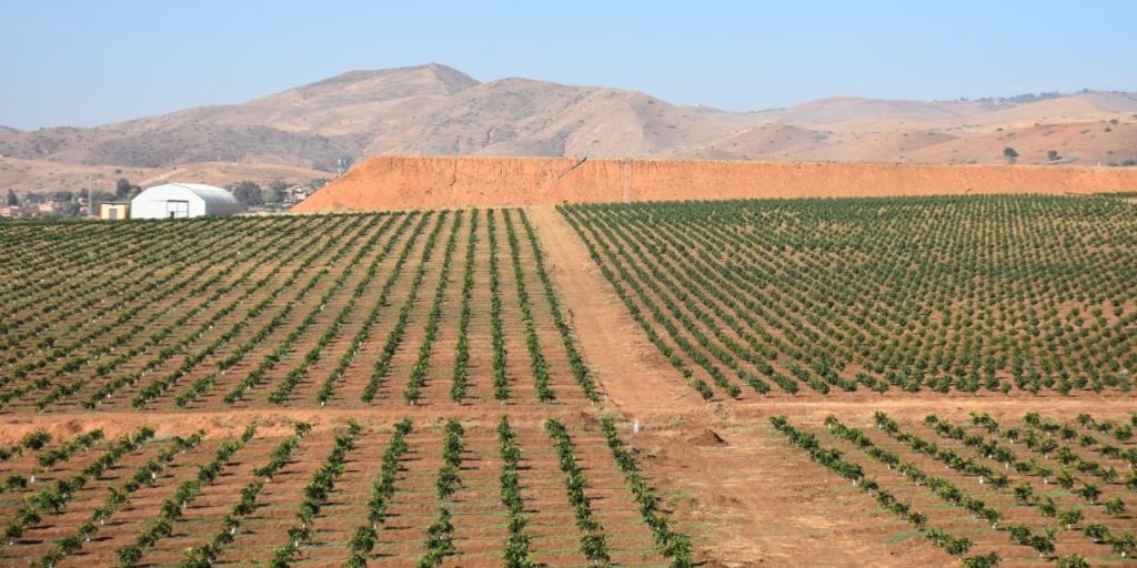 ستستفيد منها الشركات الأهلية..  وأخيرا فتح  الأراضي الدولية أمام المستثمرين ..