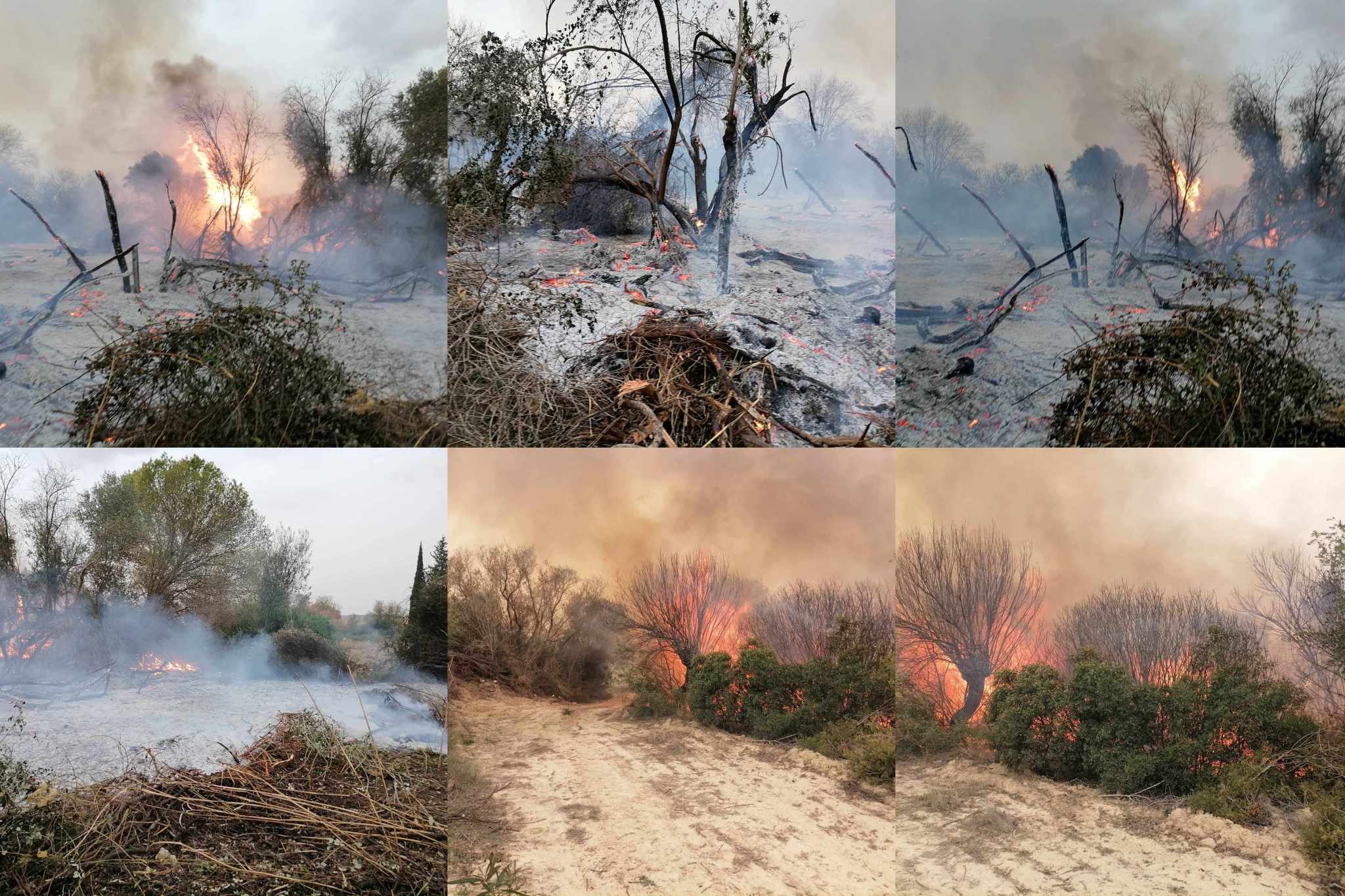 حفوز.. السيطرة على حريق مجرى واد مرق الليل بعد أن أتى على مساحة تقدر بـ 10 هكتارات