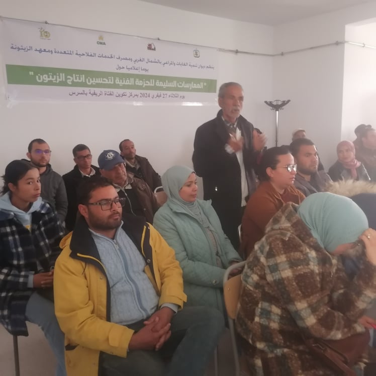 الكاف : مساعى لتحسين إنتاج الزيتون. 