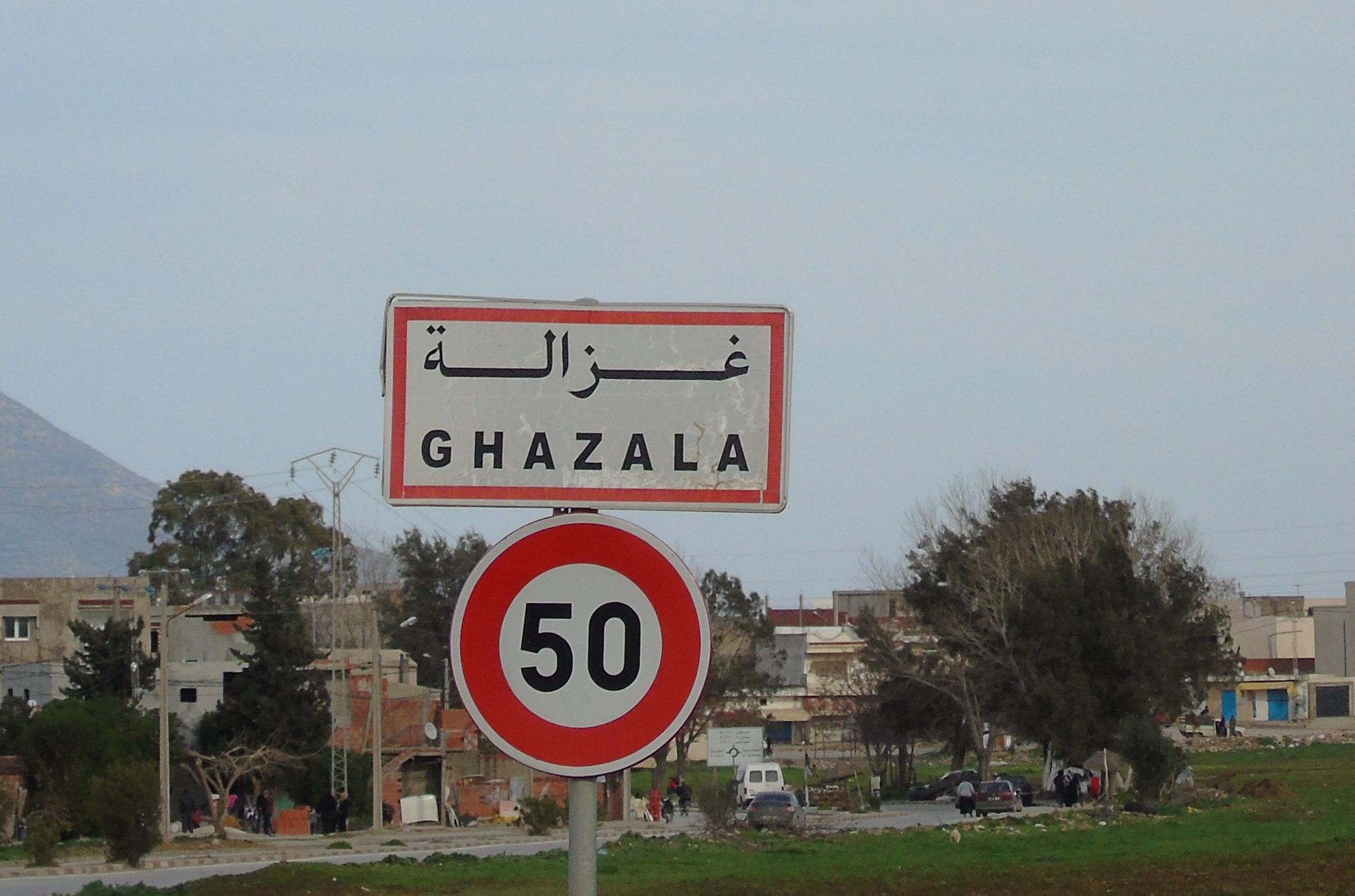  غزالة .. حجز  2409 كغ  من المواد الغذائية في مخزن عشوائي
