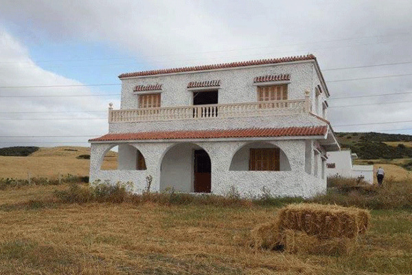 توسع يتعارض مع تحديات الدولة .. "التهام" البناءات والمساكن للمساحات الزراعية طريق أزمة غذاء