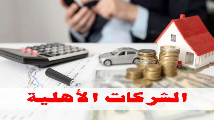   بمناسبة مرور سنتين على تزامن إصدار مرسوم الشركات الأهلية مع عيد الاستقلال:       هل تنجح المبادرة الأهلية الثقافيّة العلمية لتنشيط الاقتصاد انطلاقا من معتمديّة الورديّة