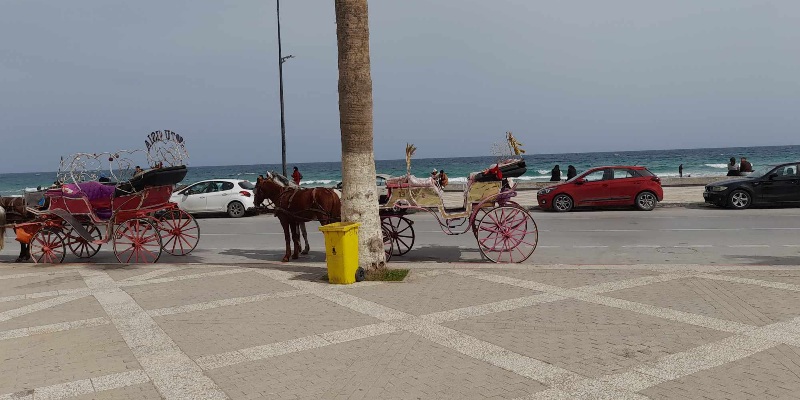 سوسة: مائدة إفطار جماعي وعرض موسيقي صوفي سوسة: مائدة إفطار جماعي وعرض موسيقي صوفي