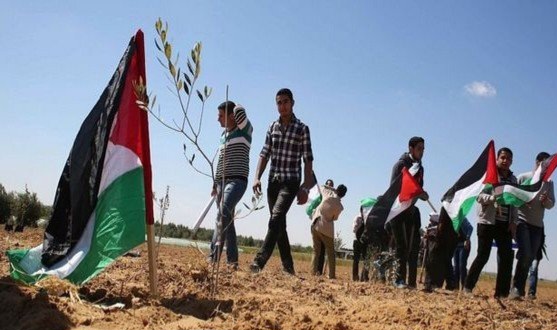  دعما للقضية الفلسطينية..احزاب ومنظمات تحتفل بيوم الأرض 