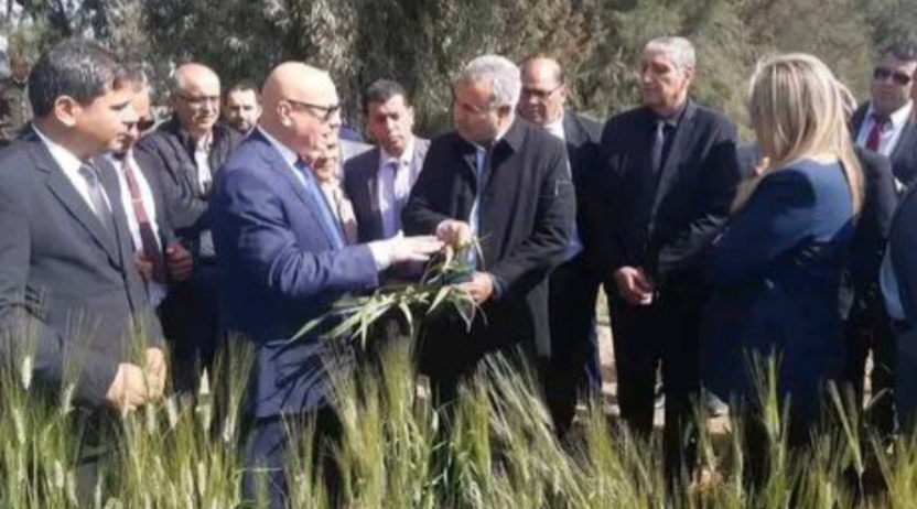 جندوبة.. وزير الفلاحة في زيارة غير معلنة للجهة جندوبة.. وزير الفلاحة في زيارة غير معلنة للجهة