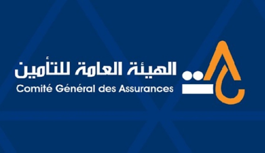  تكليف جودة الخميري بمهام رئيسة الهيئة العامة للتأمين