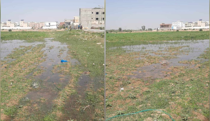 معتمد القيروان الشمالية لـ” الصباح نيوز” :’ تفعيل إجراءات اليقظة و التوقي من ظاهرة الري بالمياه المستعملة غير المعالجة”