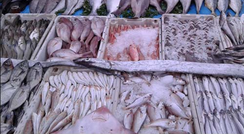 نائب رئيس غرفة تجار الأسماك بالتفصيل لـ"الصباح نيوز": ارتفاع غير مسبوق في أسعار الأسماك وشاحنات فوضوية بالشوارع لبيع المنتجات