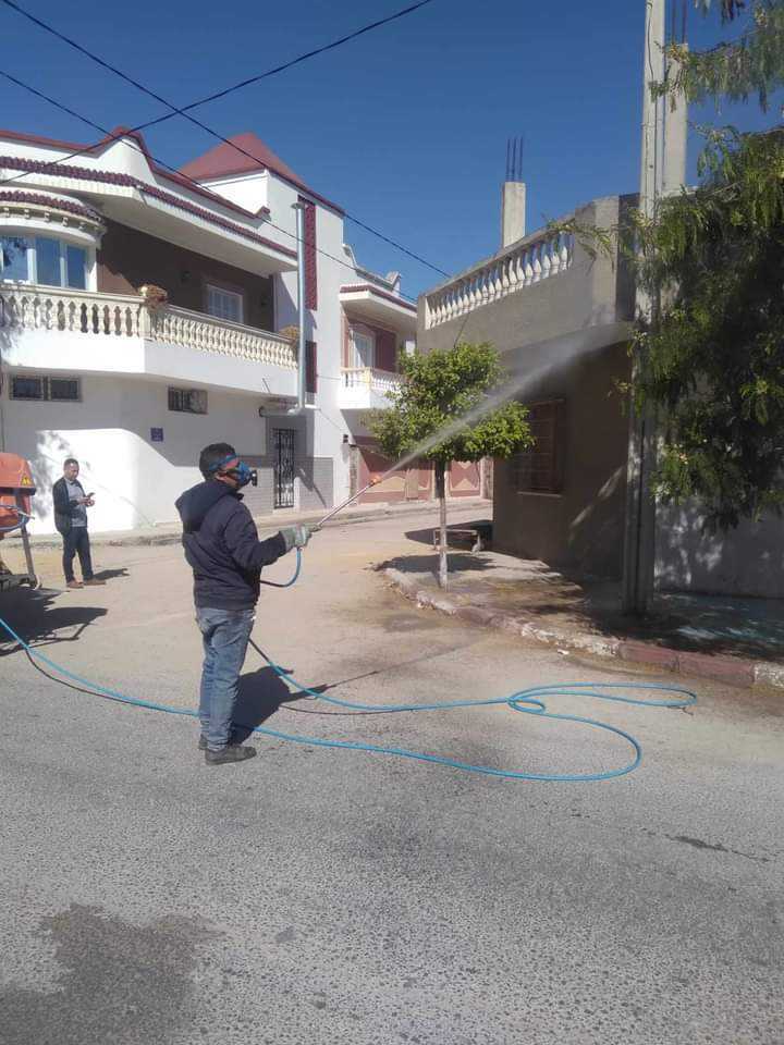 القلعة الصغرى ...حملة واسعة لمقاومة الحشرات