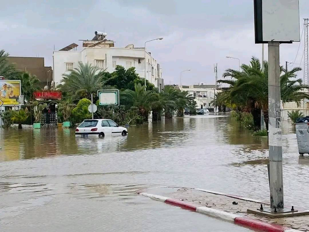 فيما لم تشمل مناطق الزراعات الكبرى..   أمطار أفريل مفيدة للزيتون.. الغلال والخضر الفصلية