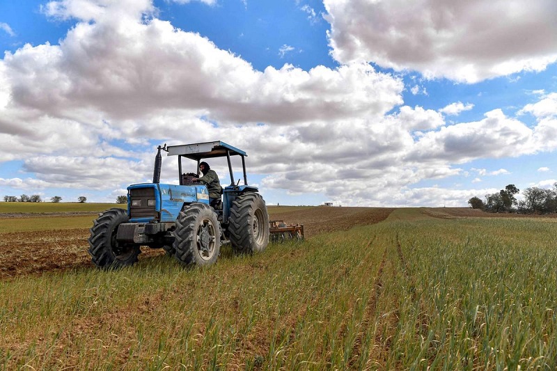 منعرج خطير لموسم الزراعات الكبرى ..     مليون هكتار مهدد.. تأخر توفير حصص الري ومخاوف من "كارثة" !