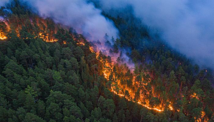 تأهب لتفادي الحرائق وتأمين المحاصيل الزراعية والغابات من المخاطر