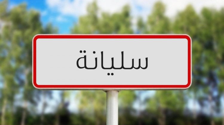 رئيس مكتب الزراعات الكبرى بسليانة: موسم فلاحي "متوسط" بسبب الاوضاع المناخية