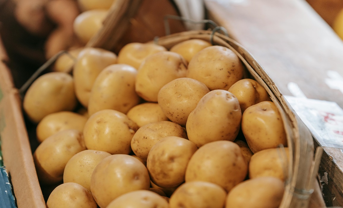 بعضها مجهولة المصدر..   التوريد العشوائي للمنتجات الفلاحية يهدّد الأمن الغذائي