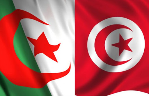 تواصل فعاليات ملتقى الجامعات الحدودية التونسية الجزائرية 5+5 .. 