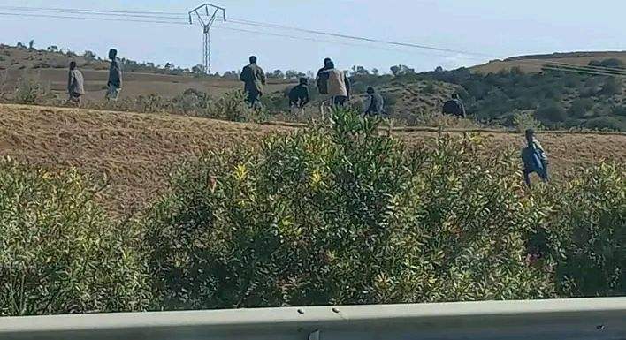 بين باجة وجندوبة ..ماحكاية الأفارقة المنتشرون بحقول الجهة ؟