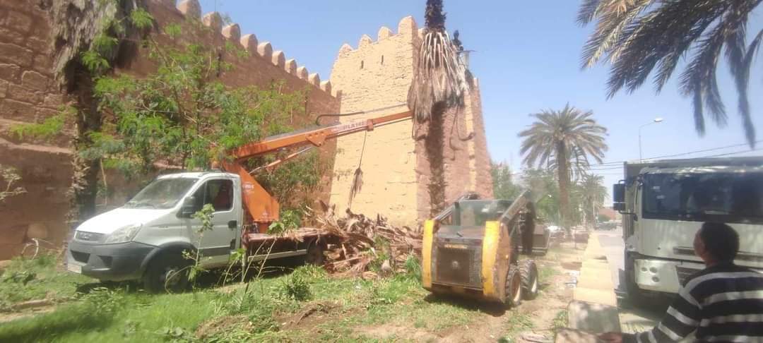 قفصة / تمهيدا لانارته بتقنية ثلاثي الابعاد.. تشذيب الاشجار المُحيطة بالبرج الاثري