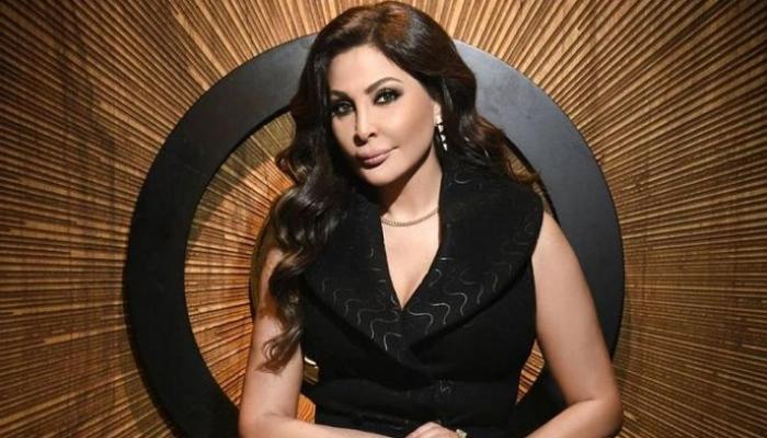 "إليسا تفاجئ جمهورها بألبومها الجديد "أنا سكتين