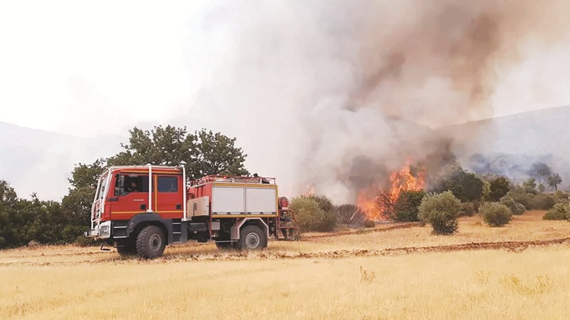 لحماية الصابة والغابات..   أية استعدادات  للتوقي من الحرائق ؟