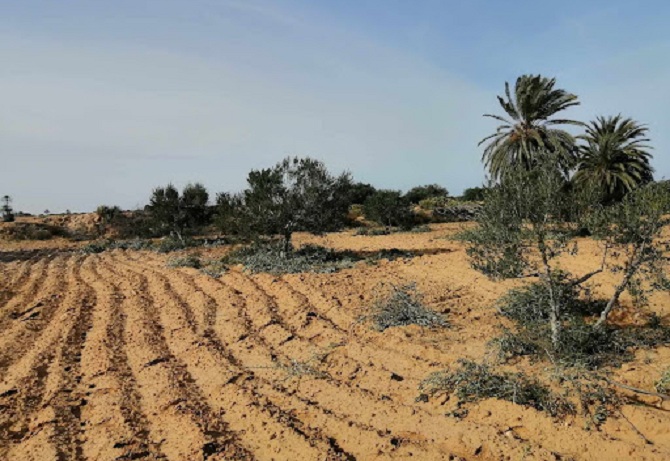 49 % من الأراضي معرضة للتآكل .. تونس تواجه تحديات تدهور التربة.. المياه والتنوع البيولوجي