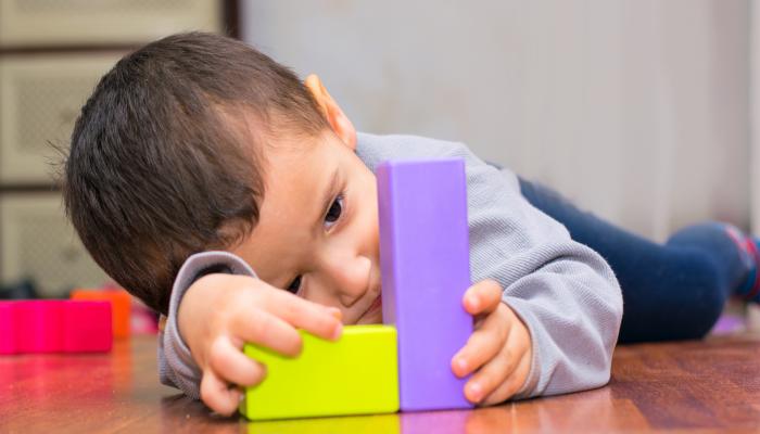 479   من 6 آلاف روضة انخرطت في البرنامج:   إدماج أطفال طيف التوحد دون المأمول.. والغرفة النقابية تتعهد بالتحسيس