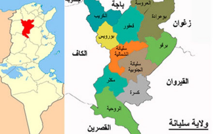 قعفور.. السيطرة على حريق أتى على 7.5 هكتارات من الشعير