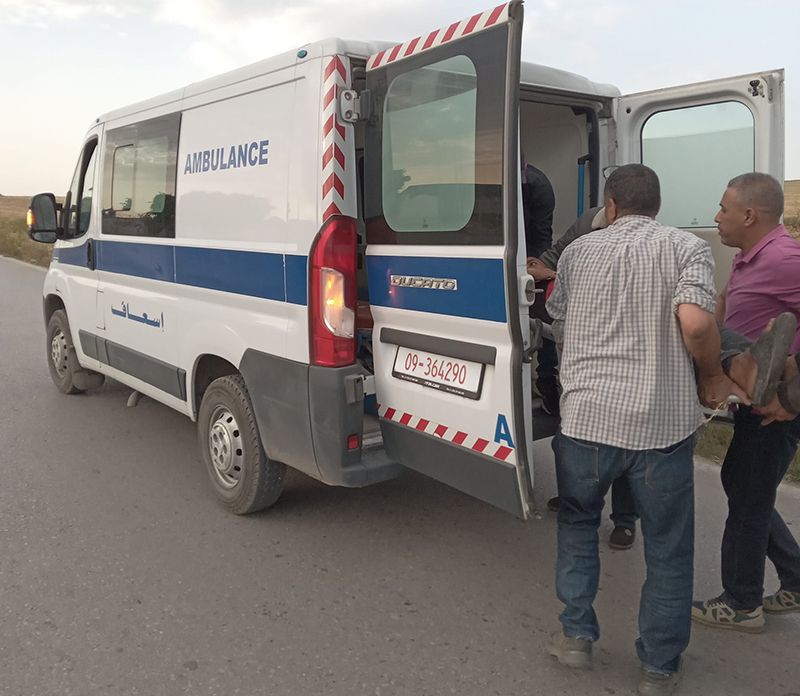 منزل بورقيبة : كلب يتسبب في حادث مرور