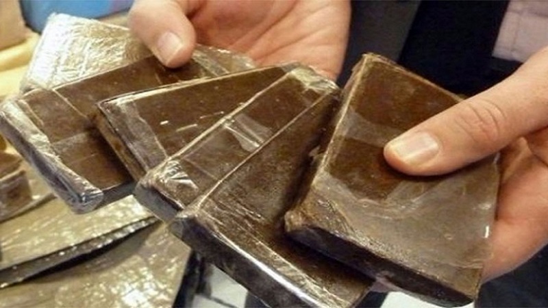سوسة.. حجز صفيحة "زطلة" والإحتفاظ بشخصين