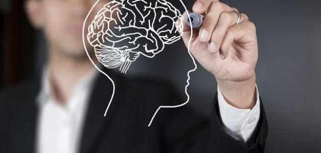 تأميم العقول قبل الحقول"..   تونس اليوم في حاجة ملحة لكل كفاءاتها في المهجر ..