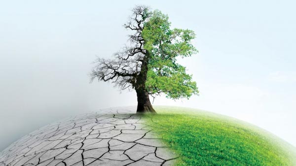 حشدت أخيرا الاعتمادات اللازمة .. المال لا يعفي الدول الصناعية والغنية من المسؤولية إزاء تطرف المناخ