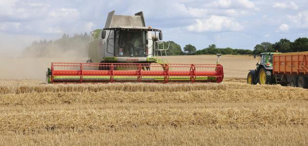  مع توقعات بصابة 5.5 مليون قنطار..   تونس تتجه إلى مواصلة توريد احتياجاتها من الحبوب لتأمين الاستهلاك المحلي