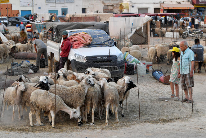 ارتفاع صاروخي لأسعار اللحوم .. الغلال والمواد المصنعة .. عندما يطيح "علوش العيد" شهرية التونسي بالقاضية!