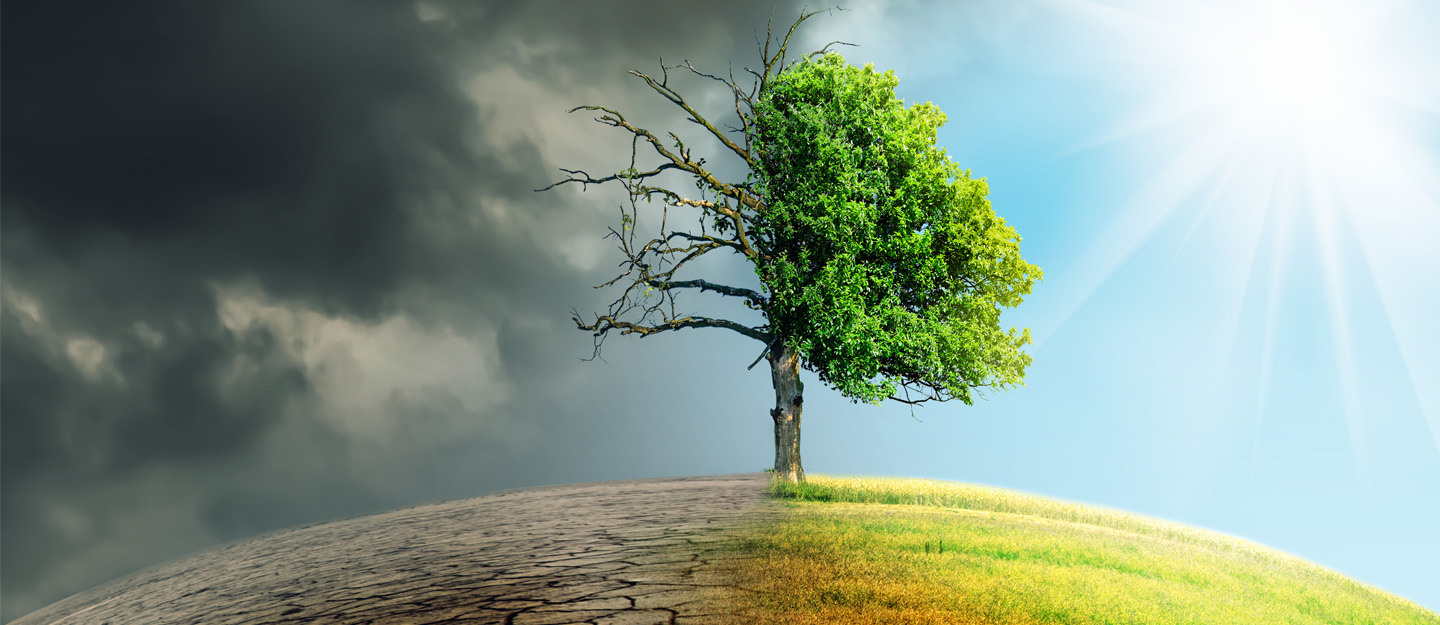 تعددت العوامل والنتيجة واحدة..   وضع بيئي من سيئ إلى أسوإ؟؟