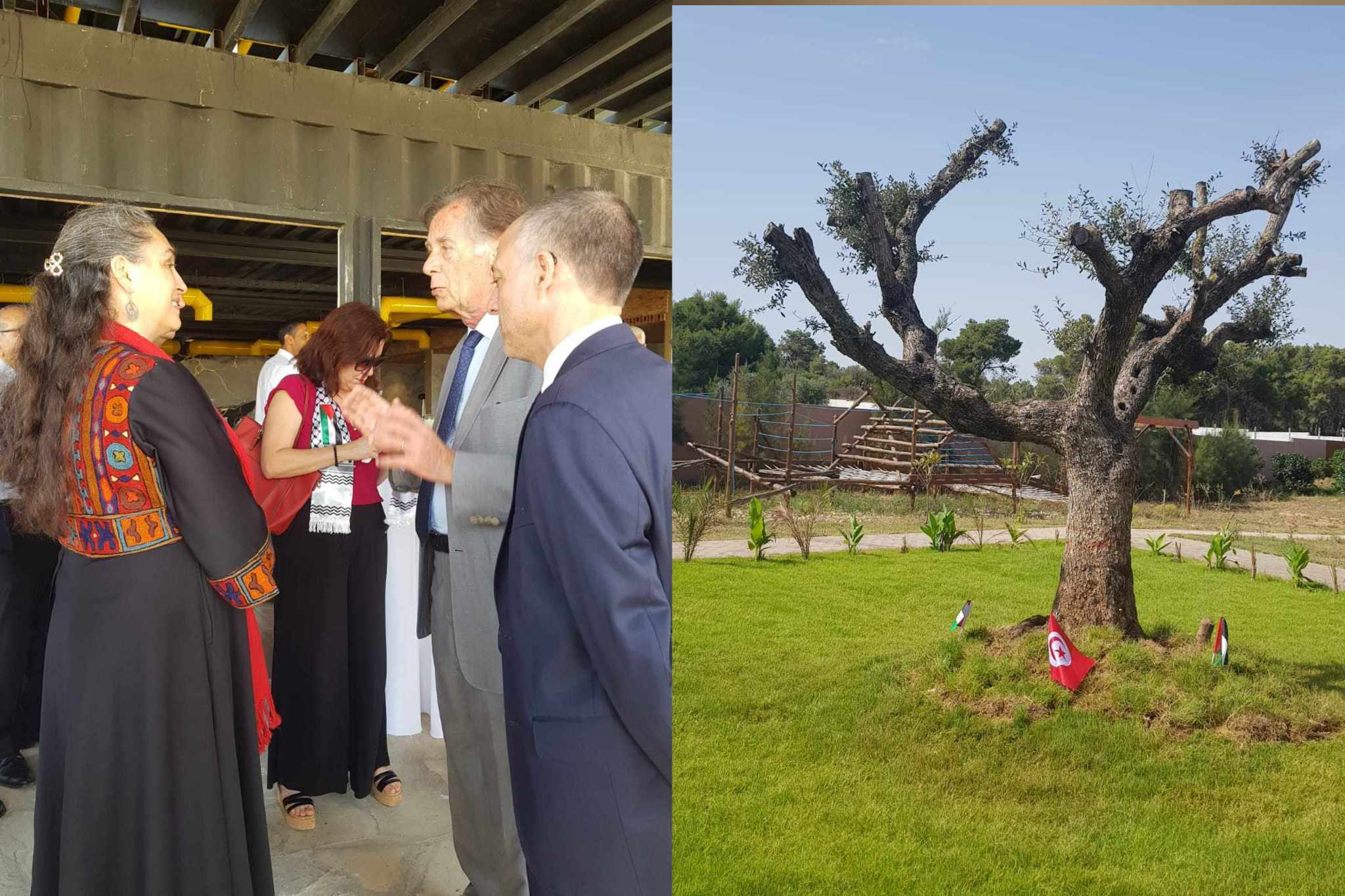 بالمركب الترفيهي المندمج "غايم أرت بارك".. غراسة شجرة السلام من أجل فلسطين..