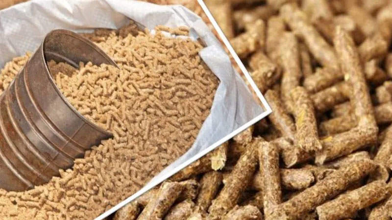 إدماج "القشارة" وشراكات لتوسيع المساحات المزروعة..   تفاصيل إستراتيجية لإنقاذ قطاع الأعلاف