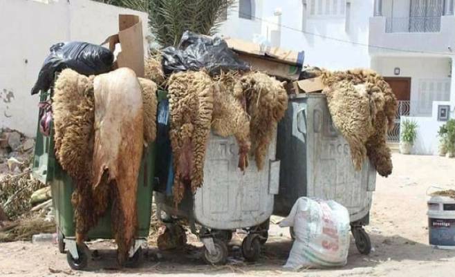 في ظل ثبوت مقاطعة شراء الأضحية..  عملية تثمين الجلود وتجميعها لن تتجاوز 28 %