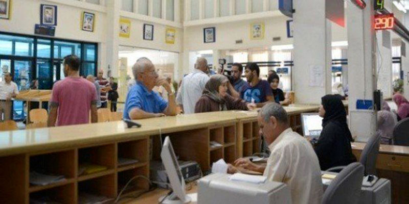 النزاهة.. الكفاءة والخبرة..   ثلاثي "برمودا" المخيف في تونس