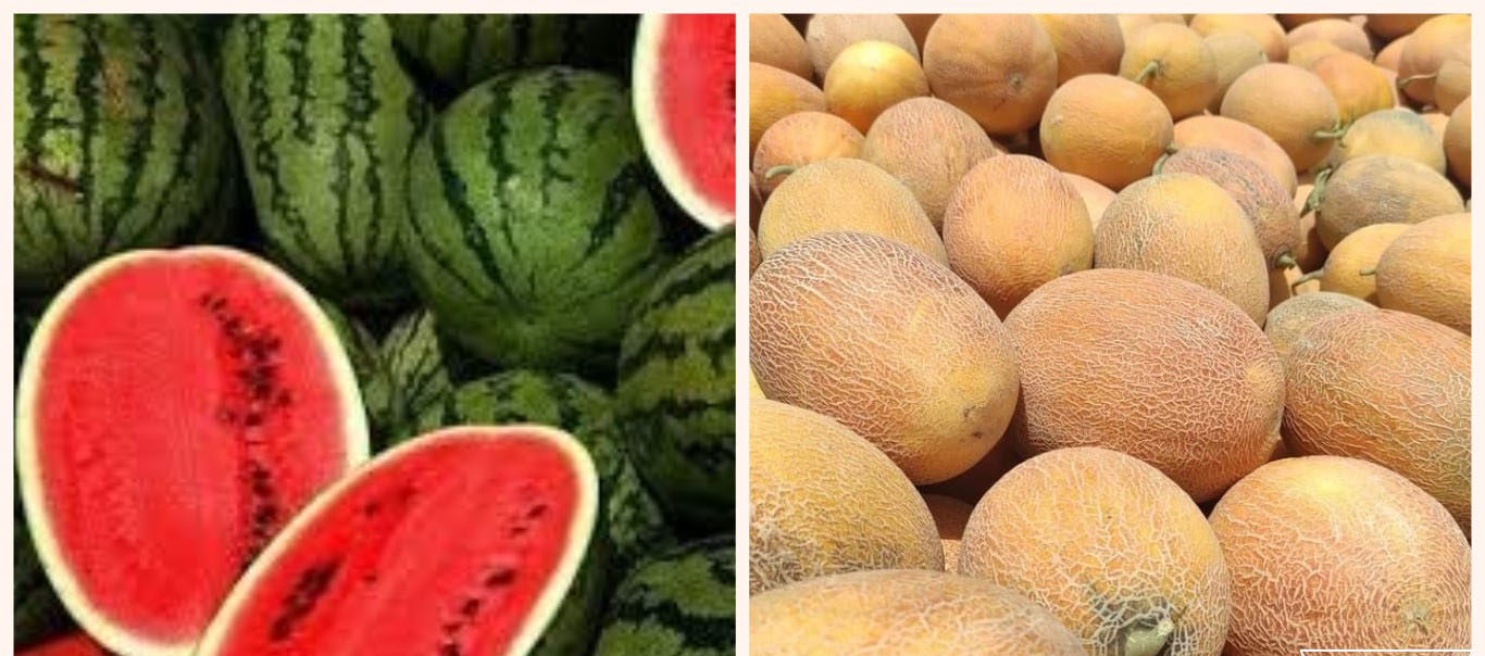 القيروان.. ارتفاع أسعار الدلاع و البطيخ القيروان.. ارتفاع أسعار الدلاع و البطيخ