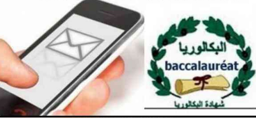 وزيرة التربية: غدا الإنطلاق في إرسال نتائج الباكالوريا عبر الارساليات القصيرة
