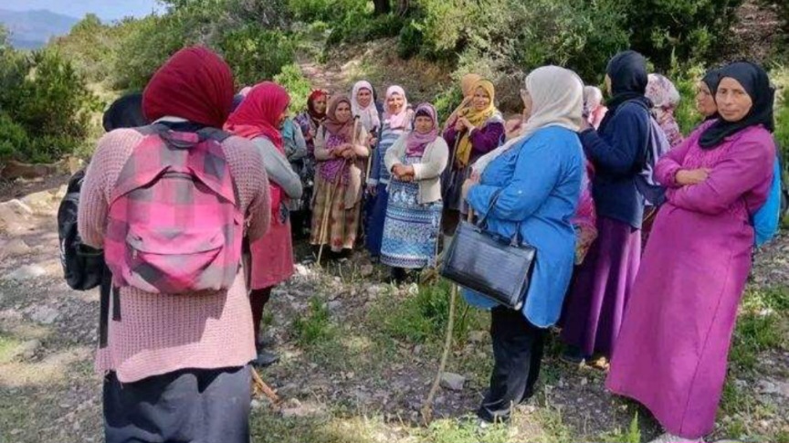 عين دراهم.. أنشطة بيئية متنوعة لجمعية التنمية والمواطنة