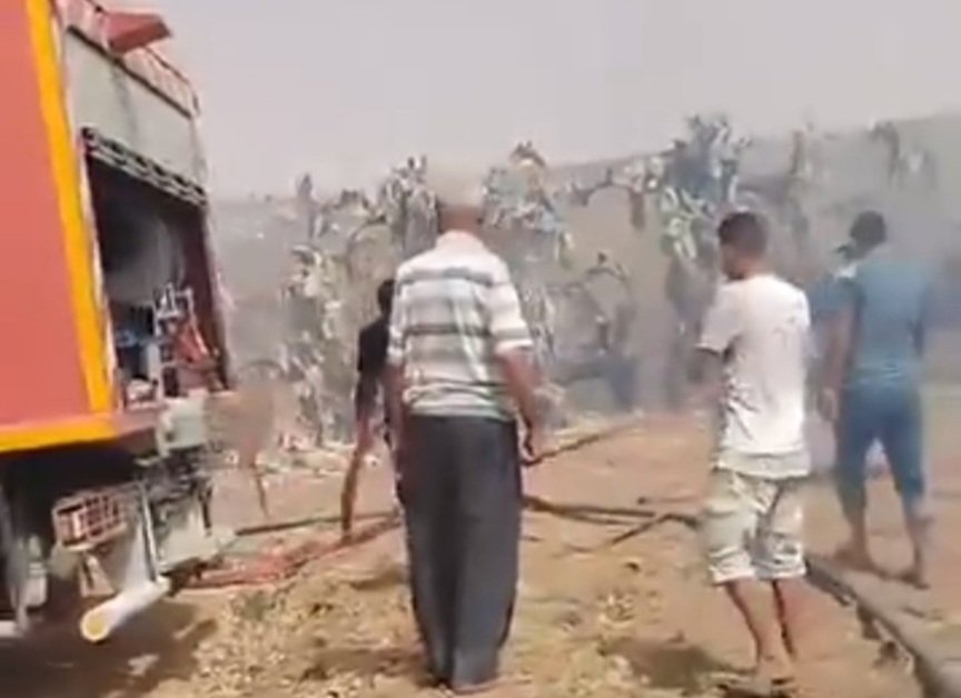 بوحجلة..اخماد حريق أتى على مساحة شاسعة من التين الشوكي بوحجلة..اخماد حريق أتى على مساحة شاسعة من التين الشوكي