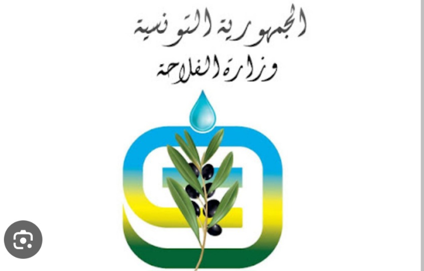  حول مرض الجلد العقدي المعدي عند الأبقار.. وزارة الفلاحة توضح
