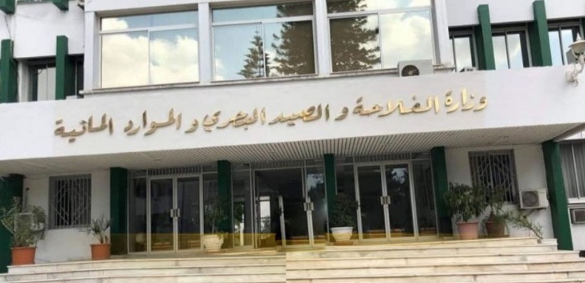 وزارة الفلاحة تعدّل قائمة الهياكل والمنظمات التي تمتلك حقّ العضوية ضمن لجنة المجموعة المينائية