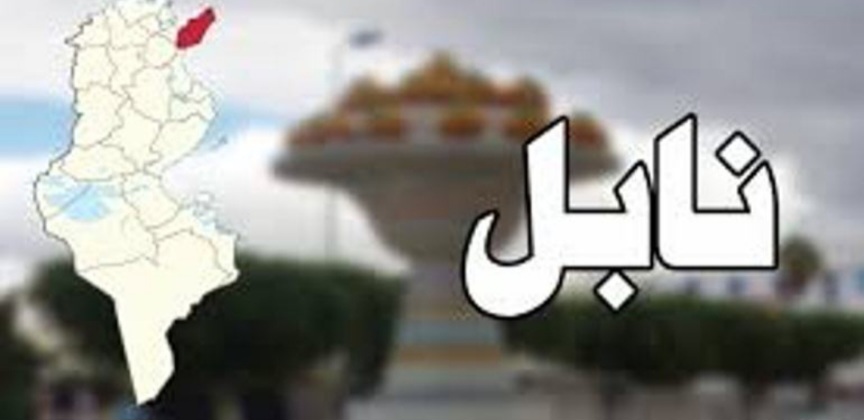 نابل.. فلاحو الخروبة يطالبون برخص مسك بنادق صيد للتوقي من الخنزير الوحشي
