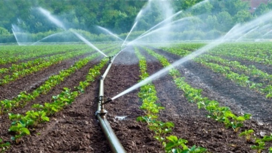 إيقاف تزويد المناطق السقوية العمومية بالماء يهدد الأشجار المثمرة ومواسم الإنتاج